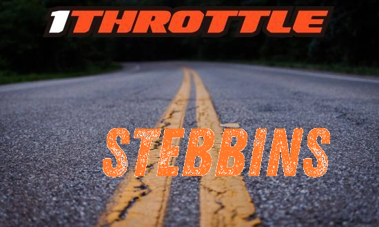 Harley Davidson Stebbins