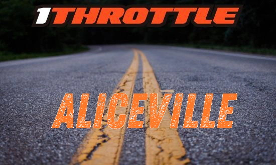 Harley Davidson Aliceville