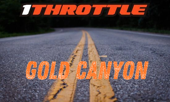 Harley Davidson Gold Canyon