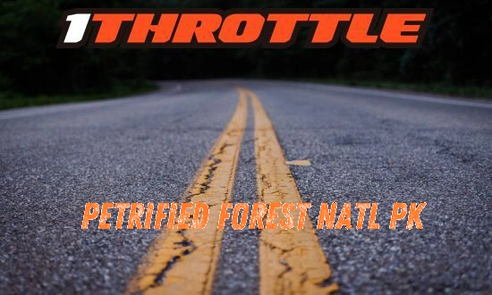 Harley Davidson Petrified Forest Natl Pk