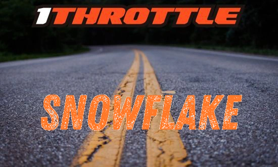 Harley Davidson Snowflake