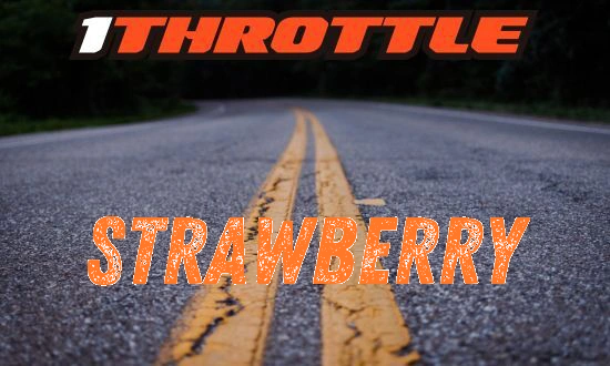 Harley Davidson Strawberry