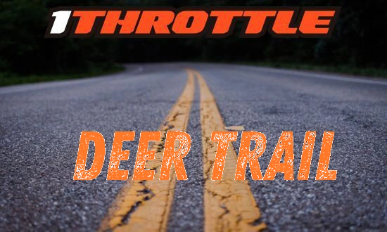 Harley Davidson Deer Trail