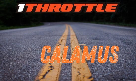 Harley Davidson Calamus