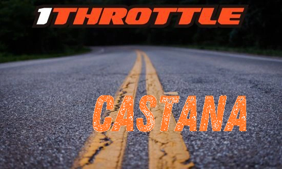 Harley Davidson Castana