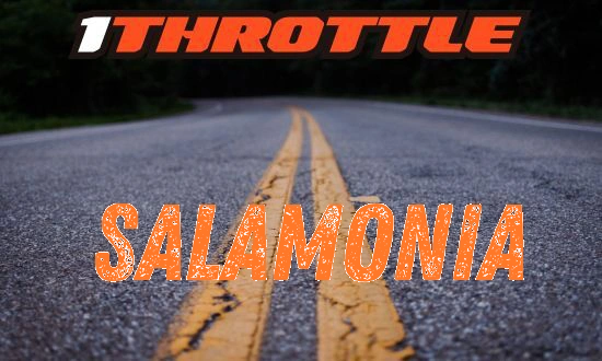 Harley Davidson Salamonia