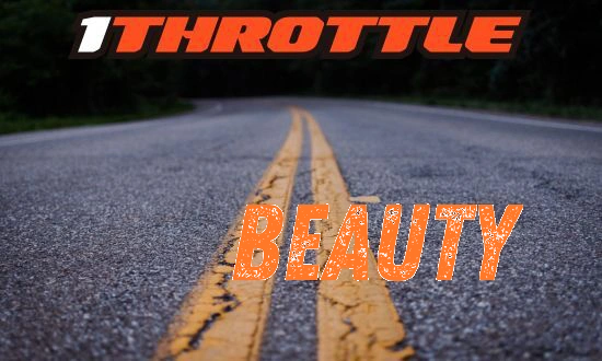 Harley Davidson Beauty