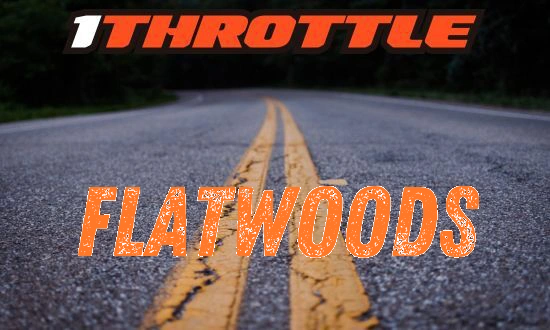 Harley Davidson Flatwoods