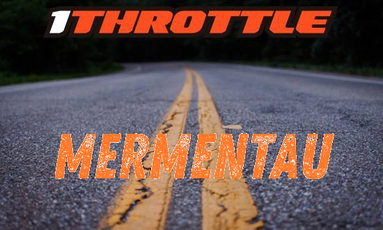 Harley Davidson Mermentau