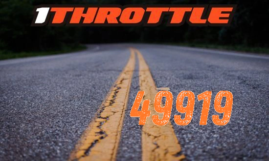 Harley Davidson near 49919