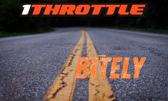 Harley Davidson Bitely