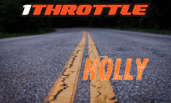 Harley Davidson Holly