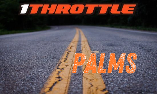 Harley Davidson Palms