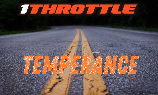 Harley Davidson Temperance