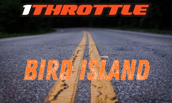 Harley Davidson Bird Island