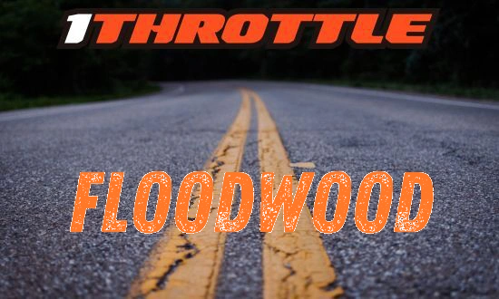 Harley Davidson Floodwood