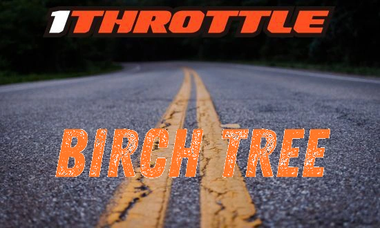 Harley Davidson Birch Tree