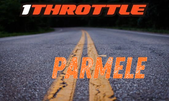 Harley Davidson Parmele