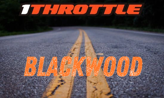 Harley Davidson Blackwood