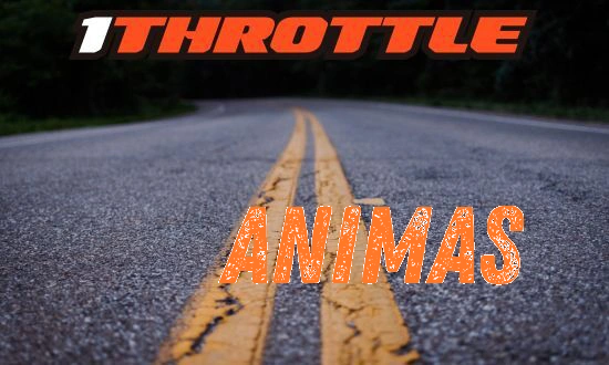 Harley Davidson Animas