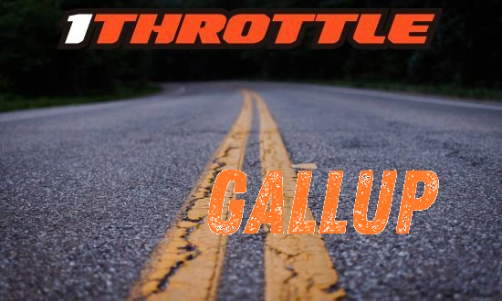 Harley Davidson Gallup