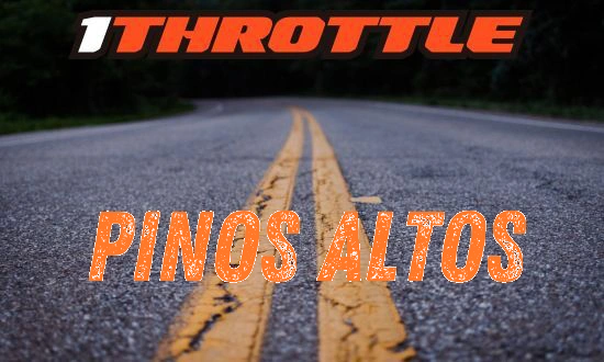 Harley Davidson Pinos Altos