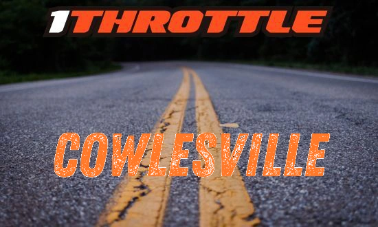 Harley Davidson Cowlesville