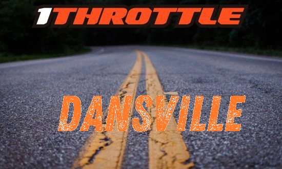 Harley Davidson Dansville