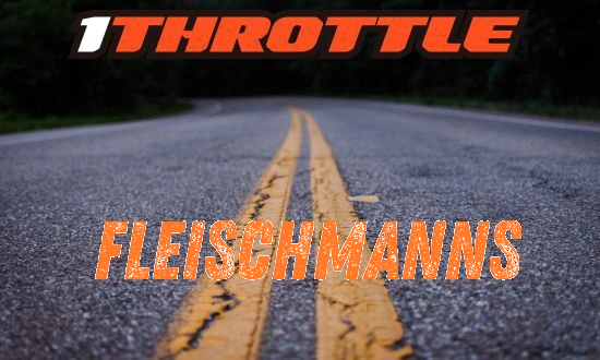 Harley Davidson Fleischmanns