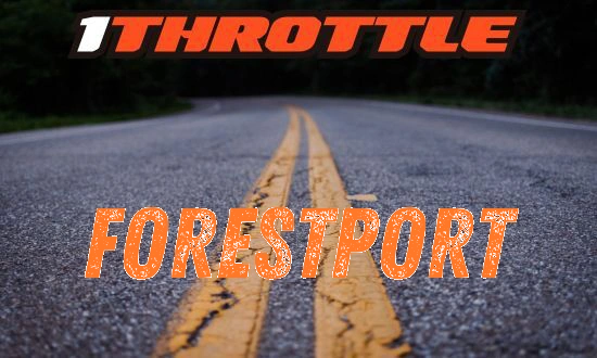 Harley Davidson Forestport