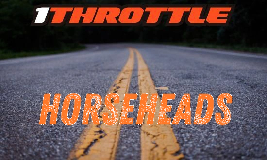 Harley Davidson Horseheads