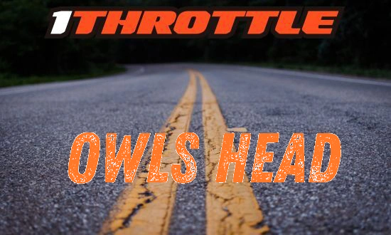 Harley Davidson Owls Head