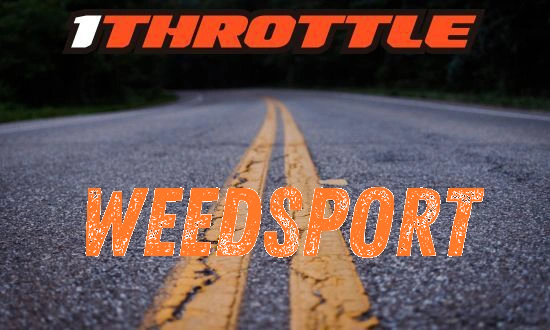 Harley Davidson Weedsport