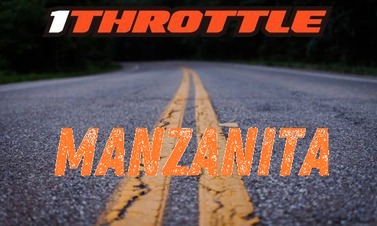 Harley Davidson Manzanita