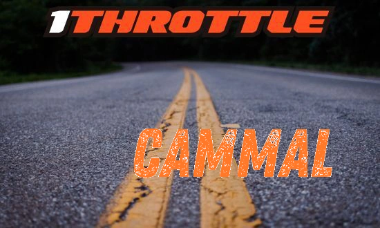 Harley Davidson Cammal