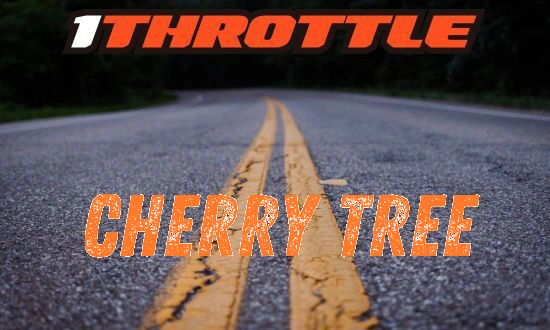 Harley Davidson Cherry Tree