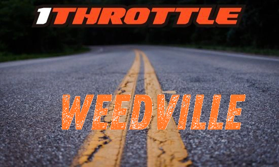 Harley Davidson Weedville