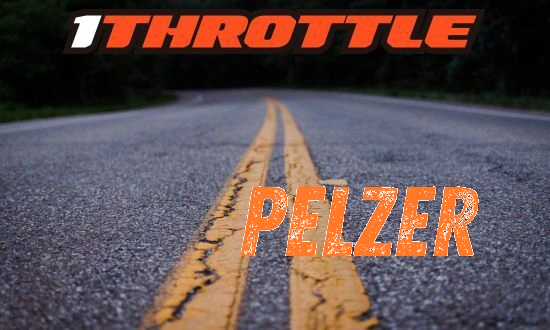 Harley Davidson Pelzer