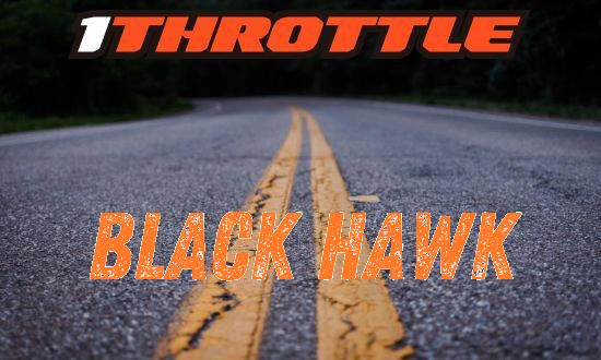 Harley Davidson Black Hawk