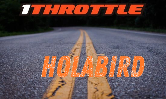 Harley Davidson Holabird