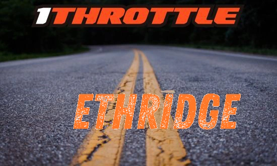 Harley Davidson Ethridge