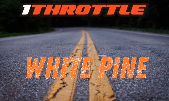 Harley Davidson White Pine