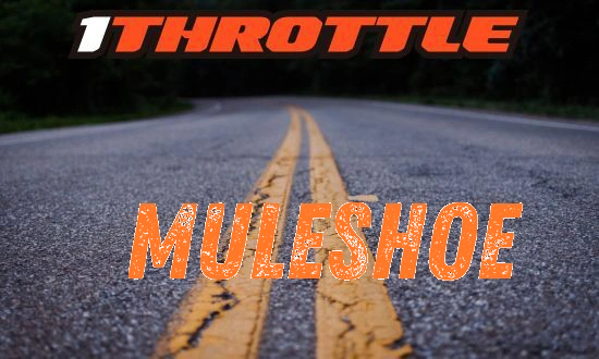 Harley Davidson Muleshoe