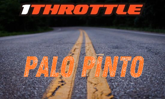 Harley Davidson Palo Pinto