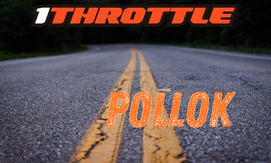 Harley Davidson Pollok