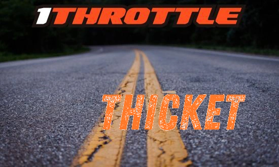 Harley Davidson Thicket