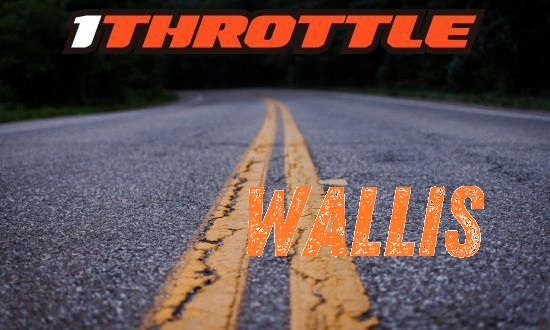 Harley Davidson Wallis