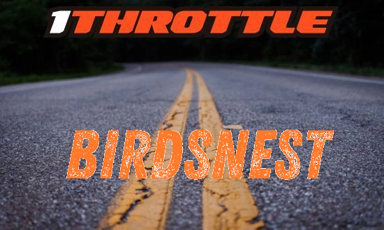 Harley Davidson Birdsnest