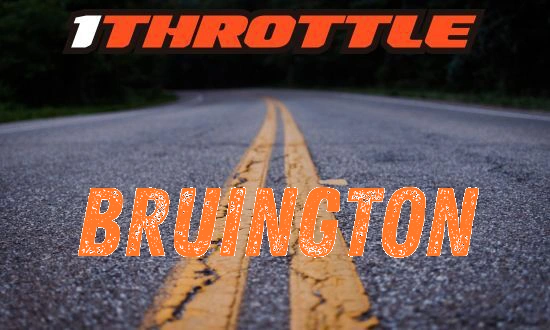 Harley Davidson Bruington