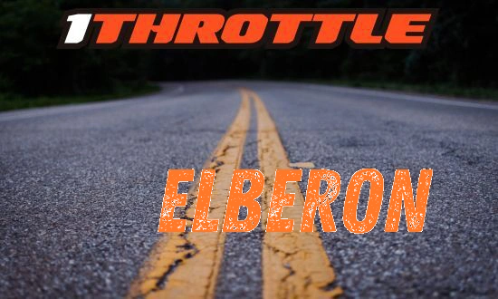 Harley Davidson Elberon